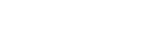 bzzir logo